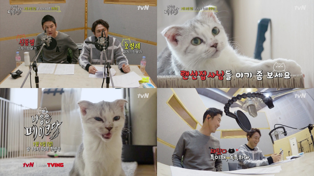 신동엽, 오정세가 출연하는 tvN 새해 관찰 예능