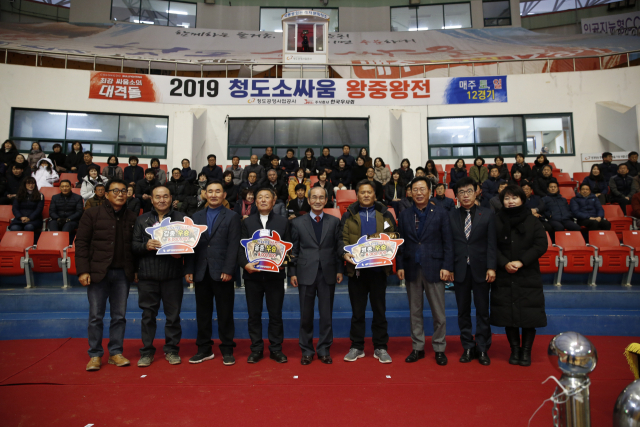 지난달 29일 청도소싸움경기장에서 막을 내린 2019 청도 소싸움 왕중왕전에서 우승한 싸움소 우주들이 체급별 우승 상패를 들고 기념촬영을 하고 있다. 청도공영사업공사 제공