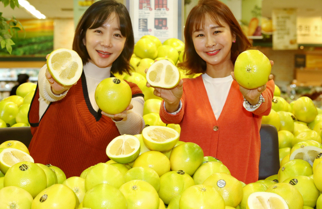 이마트는 오는 8일까지 제철 맞은 미국산 메로골드자몽을 특대 사이즈 1천 6백 원, 특 사이즈 1천5백 원에 판매한다. 메로골드자몽은 자몽에 오렌지를 교배한 개량종으로 일반 자몽에 비해 쓴맛이 적고 알갱이 식감이 뛰어나다. =이마트 제공