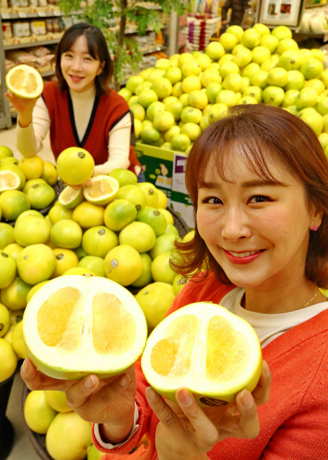 이마트는 오는 8일까지 제철 맞은 미국산 메로골드자몽을 특대 사이즈 1천 6백 원, 특 사이즈 1천5백 원에 판매한다. 메로골드자몽은 자몽에 오렌지를 교배한 개량종으로 일반 자몽에 비해 쓴맛이 적고 알갱이 식감이 뛰어나다. =이마트 제공