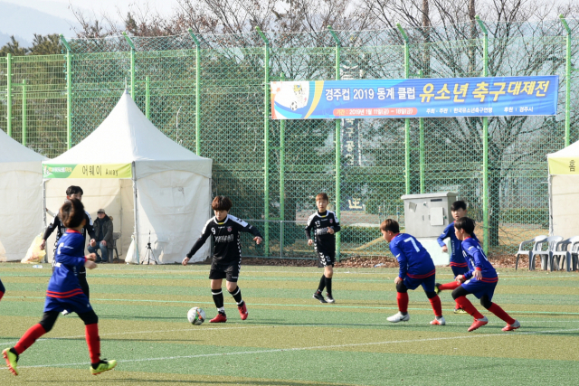 10일부터 17일까지 8일간 경주에서 전국유소년축구대회가 열린다. 지난해 열린 경주컵 동계클럽 유소년 축구 대제전 경기 모습. 경주시 제공
