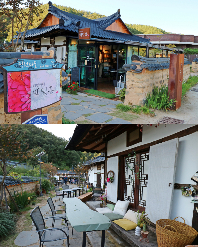 청송 리빙카페 백일홍. 경북도 제공