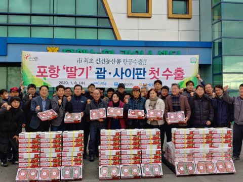 포항 딸기가 처음으로 미국 수출길에 오르고 있다. 포항시 제공