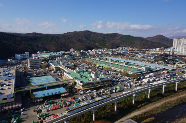 대구농수산물도매시장 전경. 대구시 제공