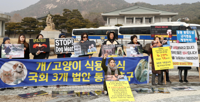 19일 오후 청와대 분수대 앞에서 1500만반려인연대 회원들이 개를 가축에서 제외하는 축산법 등 동물 관련 법안 국회 통과를 촉구하는 기자회견을 열어 구호를 외치고 있다. 연합뉴스