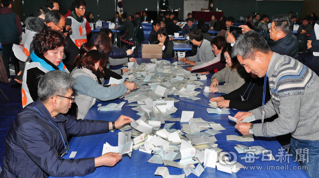 21일 군위국민체육센터에 마련된 대구경북 통합신공항 주민투표 군위군 개표소에서 개표 작업이 진행되고 있다. 우태욱 기자 woo@imaeil.com