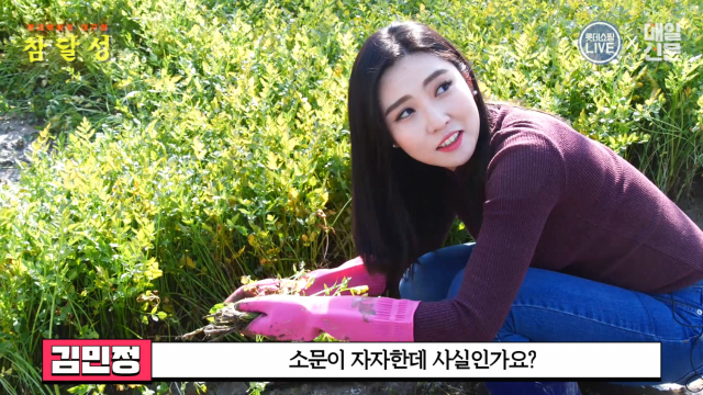 TV매일신문 김민정 아나운서가