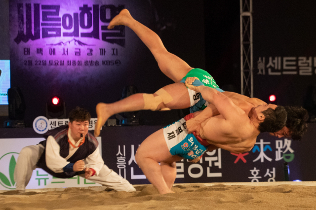 23일 충남 홍성군 홍성읍 홍주문화체육센터에서 열린 2020 홍성설날장사씨름대회 태백장사전에 출전한 의성군청 윤필재가 용인백옥쌀 오준영을 뒤집기로 이긴후 결승에 진출하고 있다. 연합뉴스