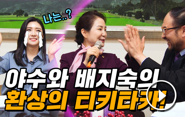 TV매일신문의 간판 코너