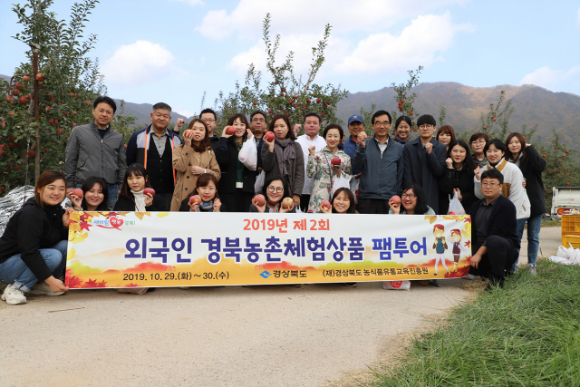 지난해 10월 열린 외국인 경북농촌체험상품 팸투어 참가자들이 사과농장에서 기념촬영하고 있다. 경북도 제공