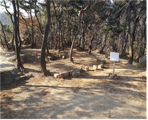 산림 내 폐기물 처리 후 산림청 제공