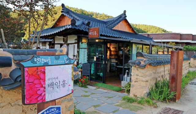 청송 리빙카페 백일홍은 나지막한 흙담으로 둘러싸여 고즈넉한 분위기를 자아낸다. 경상북도 제공
