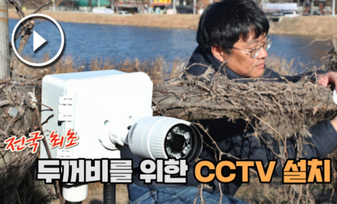 5일 오후 전국 최대 두꺼비 산란지인 대구 수성구 욱수동 망월지에 두꺼비 전용 CCTV가 설치됐다.