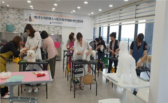 11일 대구시 청년형 마을기업에 선정된 