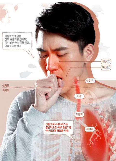 대구가톨릭대병원 감염내과 권현희 교수