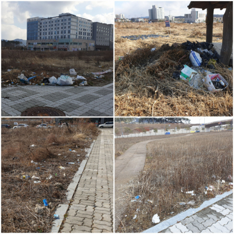 경북도청 신도시 내 유휴지 곳곳에 쓰레기들이 버려진 채 방치돼 있다. 윤영민 기자