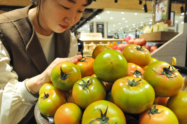 롯데백화점 대구점은 부산 대저동에서 생산된 대저토마토(100g, 1천290원)를 판매한다. 짭짤하고 달콤한 맛 때문에 