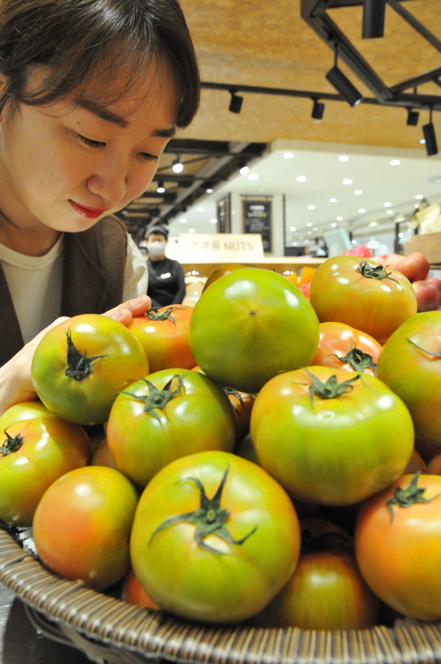 롯데백화점 대구점은 부산 대저동에서 생산된 대저토마토(100g, 1천290원)를 판매한다. 짭짤하고 달콤한 맛 때문에 
