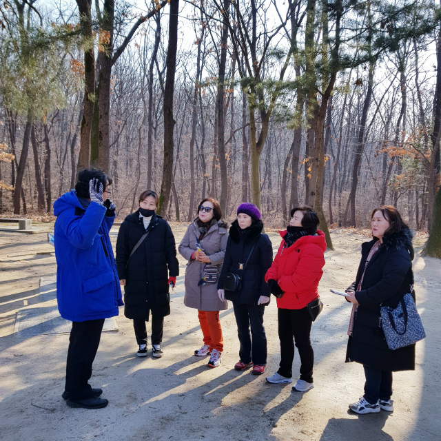 달성군 문화해설사들이 융건릉을 둘러보고 있다.