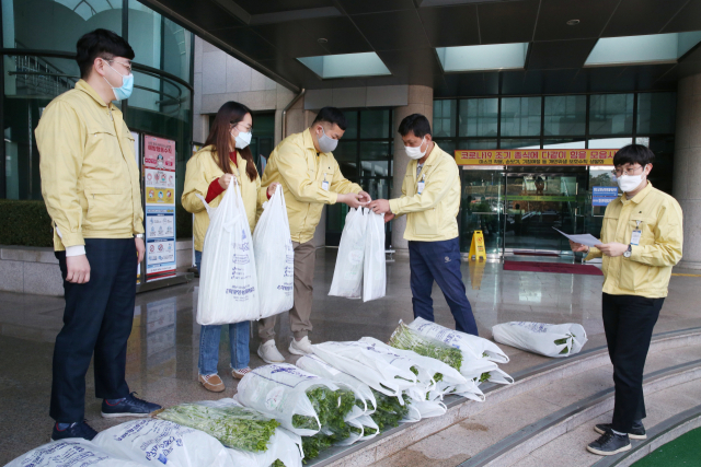 경북 청도군 전 직원 600여명이 제철을 맞은 한재미나리, 딸기 등 농산물팔아주기 운동에 동참하고 있다. 청도군 제공