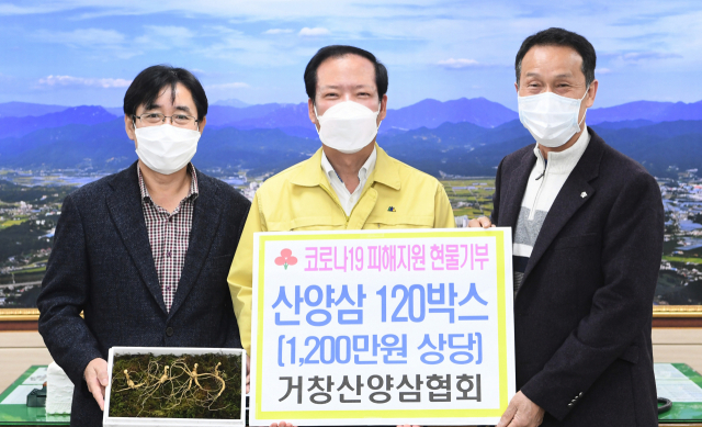 거창산양삼협회 신판성 회장과 관계자가 11일 구인모 거창군수를 방문해 산양삼을 전달했다. 거창군 제공