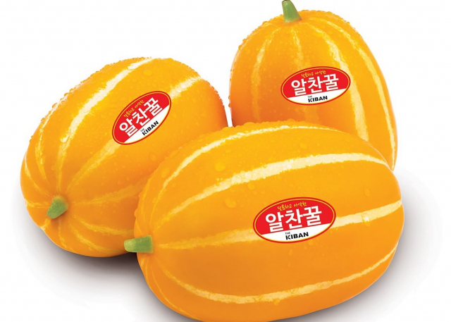 아삭한 식감과 감칠맛을 자랑하는 알찬꿀참외는 2020년 성주참외 재배면적의 33.6%를 차지한다. 더기반 제공