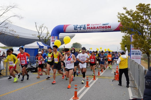 지난해 11월 10일 대구마라톤협회가 주최한 제15회 달구벌마라톤대회에서 시민들이 달리고 있다. 대구마라톤협회 제공