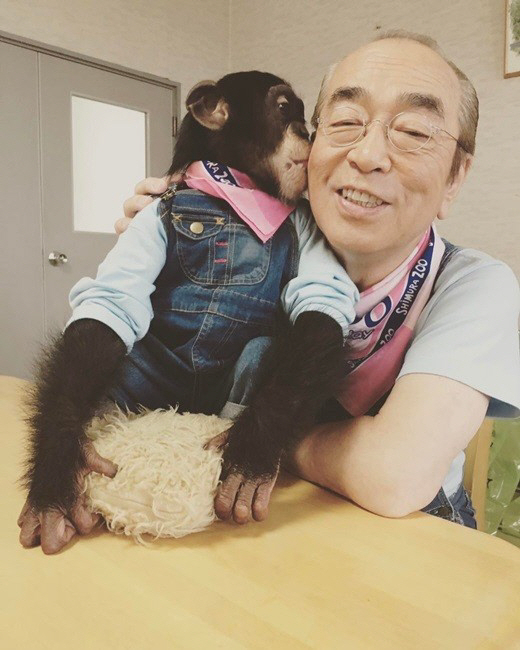 시무라 켄 인스타그램 캡쳐