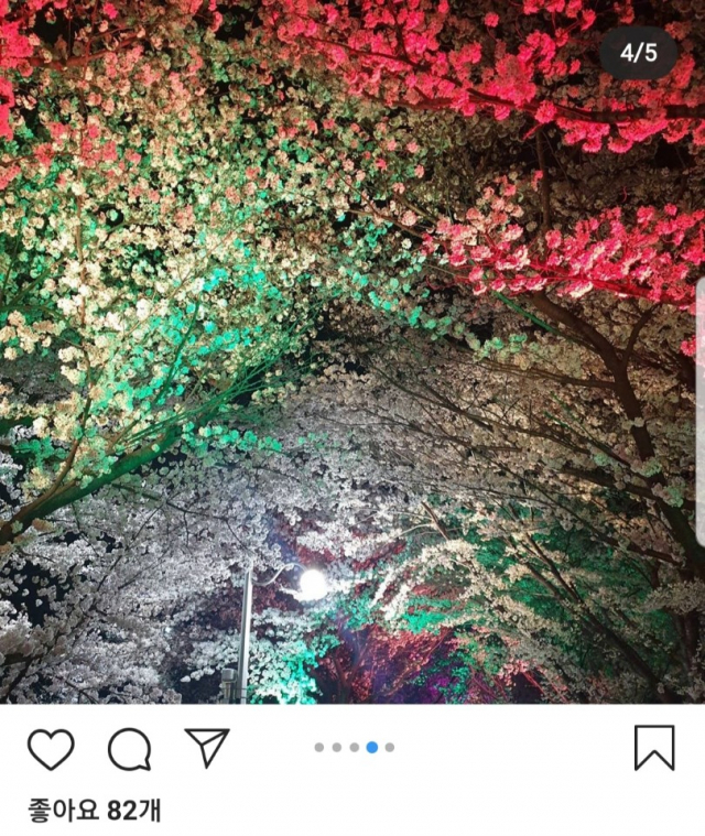 최근 SNS 올라온 대구 동구 아양벚꽃길 야간 사진. 대구지역 벚꽃 명소들의 야간조명이 꺼지지 않자 상춘객이 몰리고 있다. 이곳에서 찍은 인증샷도 인스타그램 등 SNS에 올라오고 있다. 인스타그램 캡처