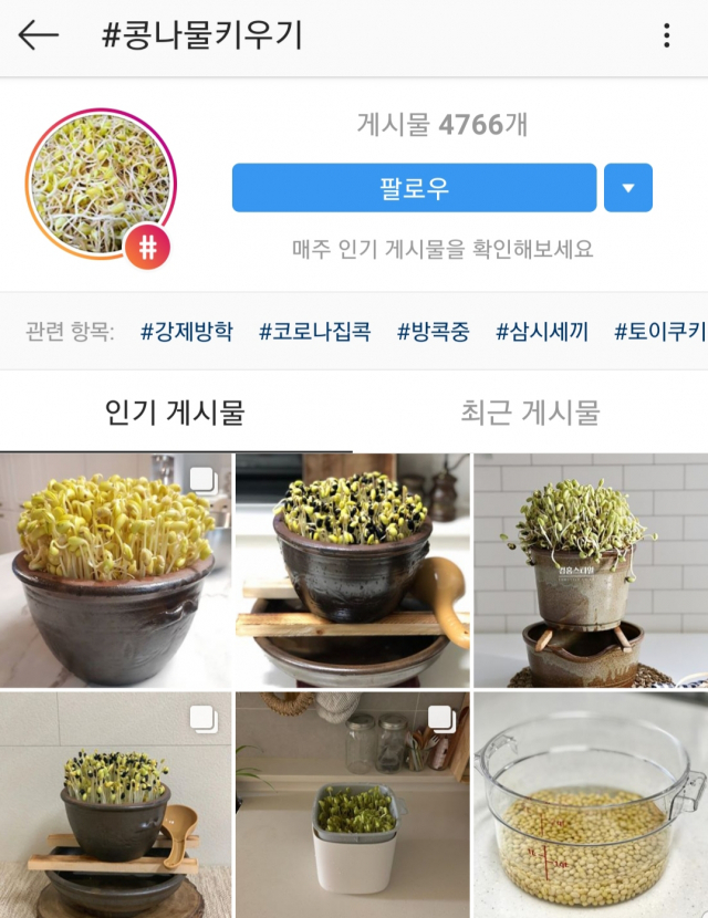 코로나19 이후 해시태그