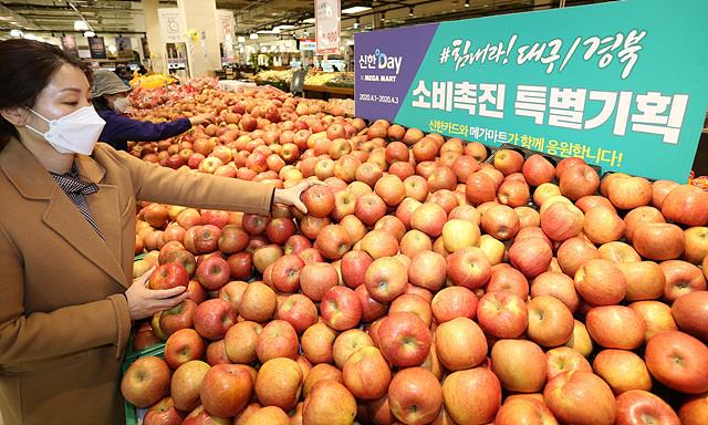 부산과 영남권을 기반으로 하는 대형할인점 메가마트가 코로나19로 어려움을 겪는 대구·경북지역 농가를 돕기 위해 내달 1일부터 사흘간 소비촉진 특별 기획전을 연다고 31일 밝혔다. 소비촉진 특별 기획전에서 고객이 사과를 고르고 있다. 연합뉴스