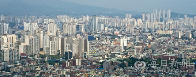 대구시가지 전경. 매일신문DB