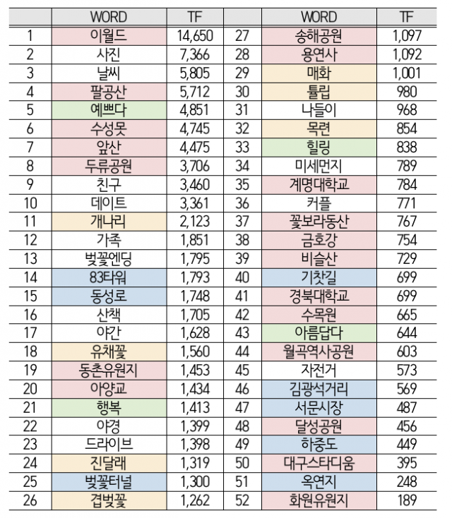 [빅데이터로 본 대구경북] 대구 벚꽃 관련 키워드 빈도표(TF). 벚꽃 명소(붉은색), 관련 관광지(푸른색), 감정(초록색), 봄꽃(노란색)으로 구분. 더아이엠씨 제공