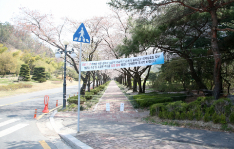 4일 경북 포항시 남구 지곡동 포스코 인재창조원 앞 도로에 벚꽃길 구경과 도로변 주차 통제, 인도 출입금지를 알리는 현수막과 안내판이 있다. 연합뉴스