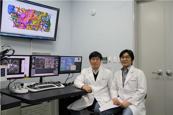 이계주(왼쪽), 김윤주 연구원이 해마 신경회로의 3차원 재구성 영상을 연구하는 모습. 한국뇌연구원 제공.