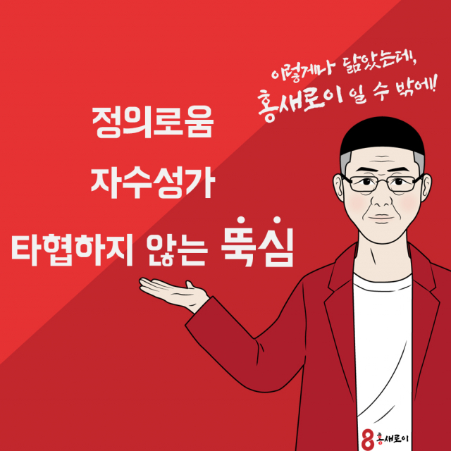 박새로이와 홍새로이를 비교한 이미지.