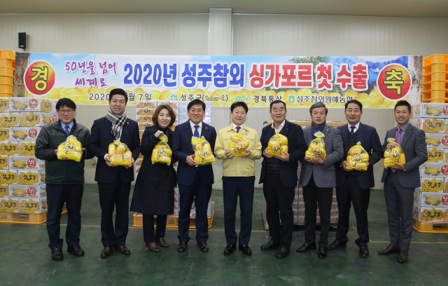 성주군 관계자들이 2020년 성주참외 첫 싱가포르 수출을 자축하고 있다. 성주군은 올해 성주참외 500t 이상 수출을 목표로 하고 있다. 성주군 제공