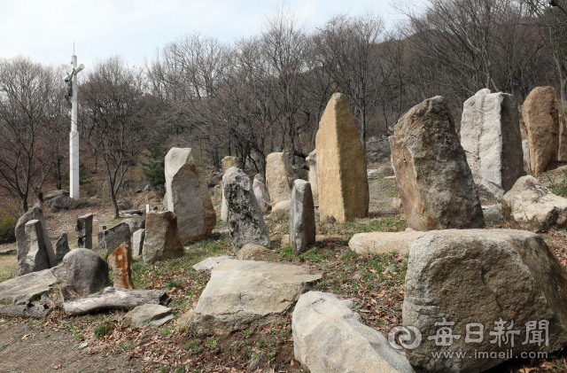 한티성지 내 순교자 묘역 앞에 세워진 대형 십자가와 입석. 크고 작은 입석은 한티마을의 남녀노소 순교자를 뜻한다. 김태형 선임기자 thk@imaeil.com
