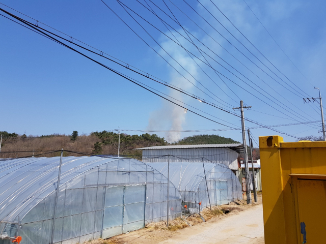 경북 안동시 풍산읍 수리 한 야산에서 발생한 산불을 인근 농가에서 촬영한 모습. 남부지방산림청 제공