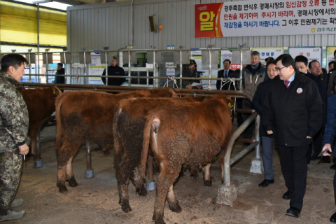 주낙영 경주시장이 가축시장을 둘러보고 있다. 경주시 제공
