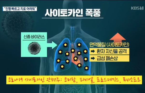 사이토카인 폭풍 원리. KBS2 뉴스 갈무리