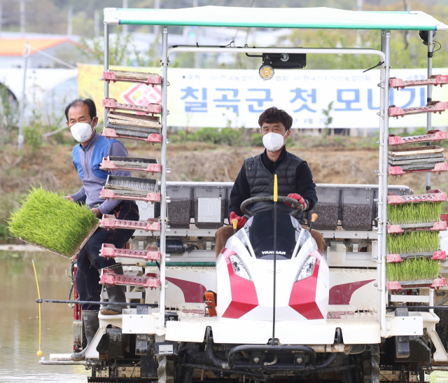 칠곡군 제공