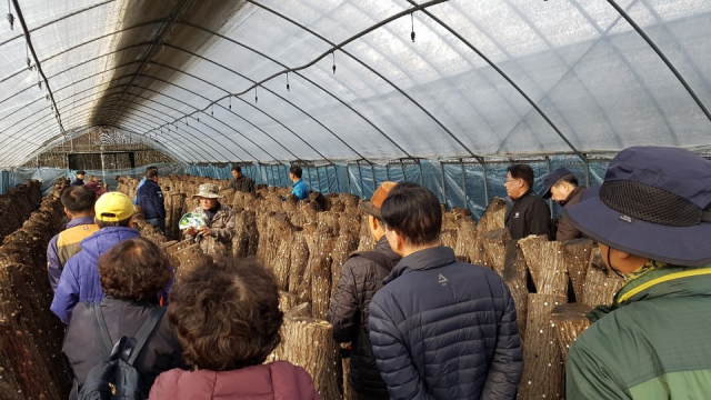 공무원연금공단 대구지부는 지난 18일 연금생활자를 대상으로 영천시를 방문하는 귀농귀촌 투어를 했다. 매일신문 DB