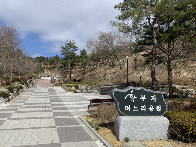 황지동 황지연못 인근 황부자며느리공원.