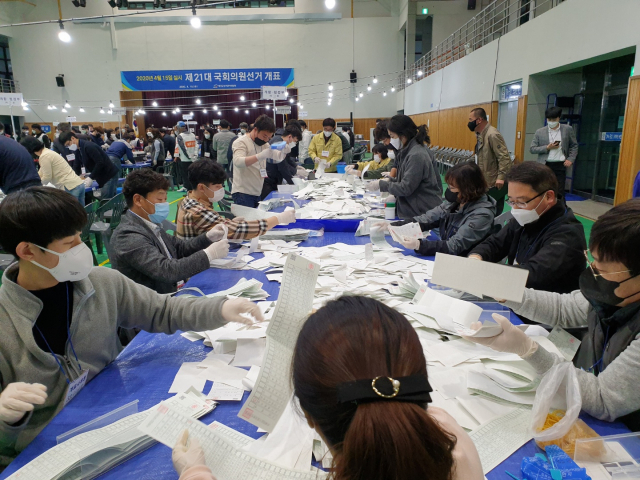 지난 15일 제21대 국회의원 선거 개표가 진행된 예천군문화체육센터에서 개표사무원들이 개표를 진행하고 있다 . 윤영민 기자
