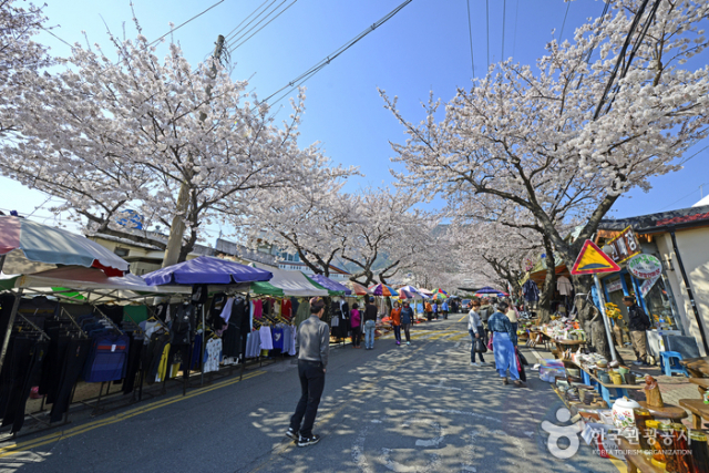 경화장. 한국관광공사 제공
