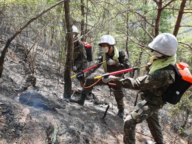 2작전사령부 산하 50사단과 201특공여단 등 군 장병들이 경북 안동에서 발생한 산불 진화에 나서 잔불 정리를 하고 있다. 50사단 제공