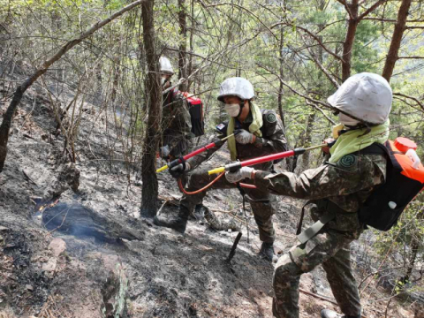 육군 제2작전사령부 산하 50사단, 201특공여단 등 군 장병들이 경북 안동에서 발생한 산불 진화에 나서 잔불 정리를 하고 있다. 50사단 제공