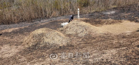 경북 안동 산불로 풍천면과 남후면 일대가 화마에 휩싸인 뒤 부모 산소를 찾은 한 시민이 지푸라기로 봉분을 덮고 술을 올리고 있다. 독자 제공
