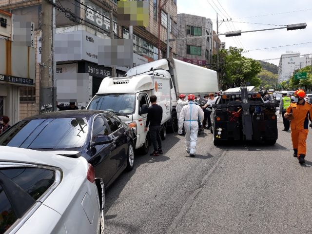 9.5t 트럭 가로수